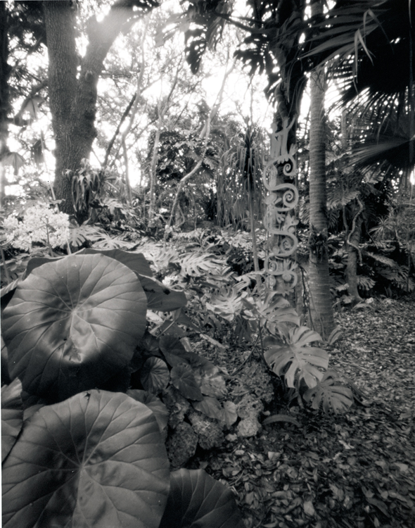 frienship sculpture in the jungle.jpg
