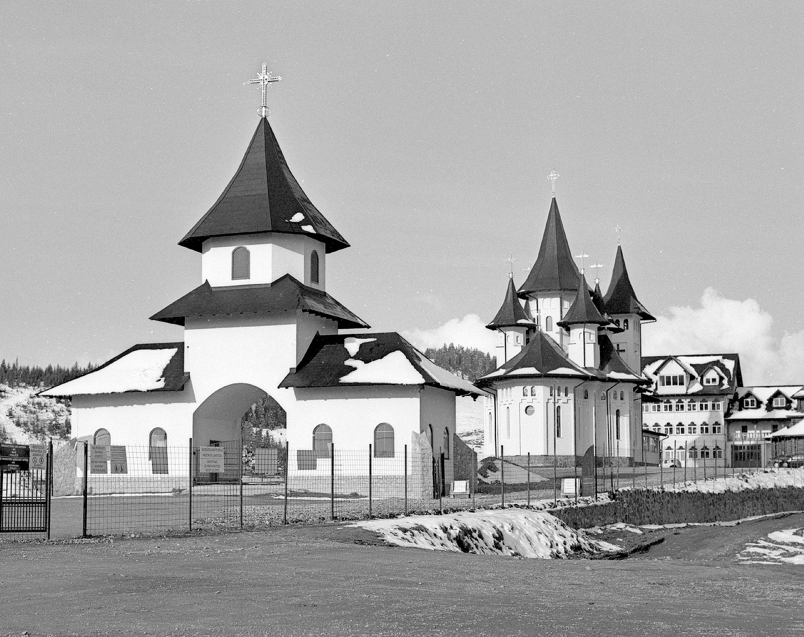FT3_rollei80s (18).jpg