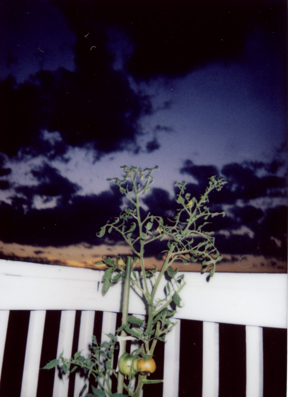 fuji871.jpg