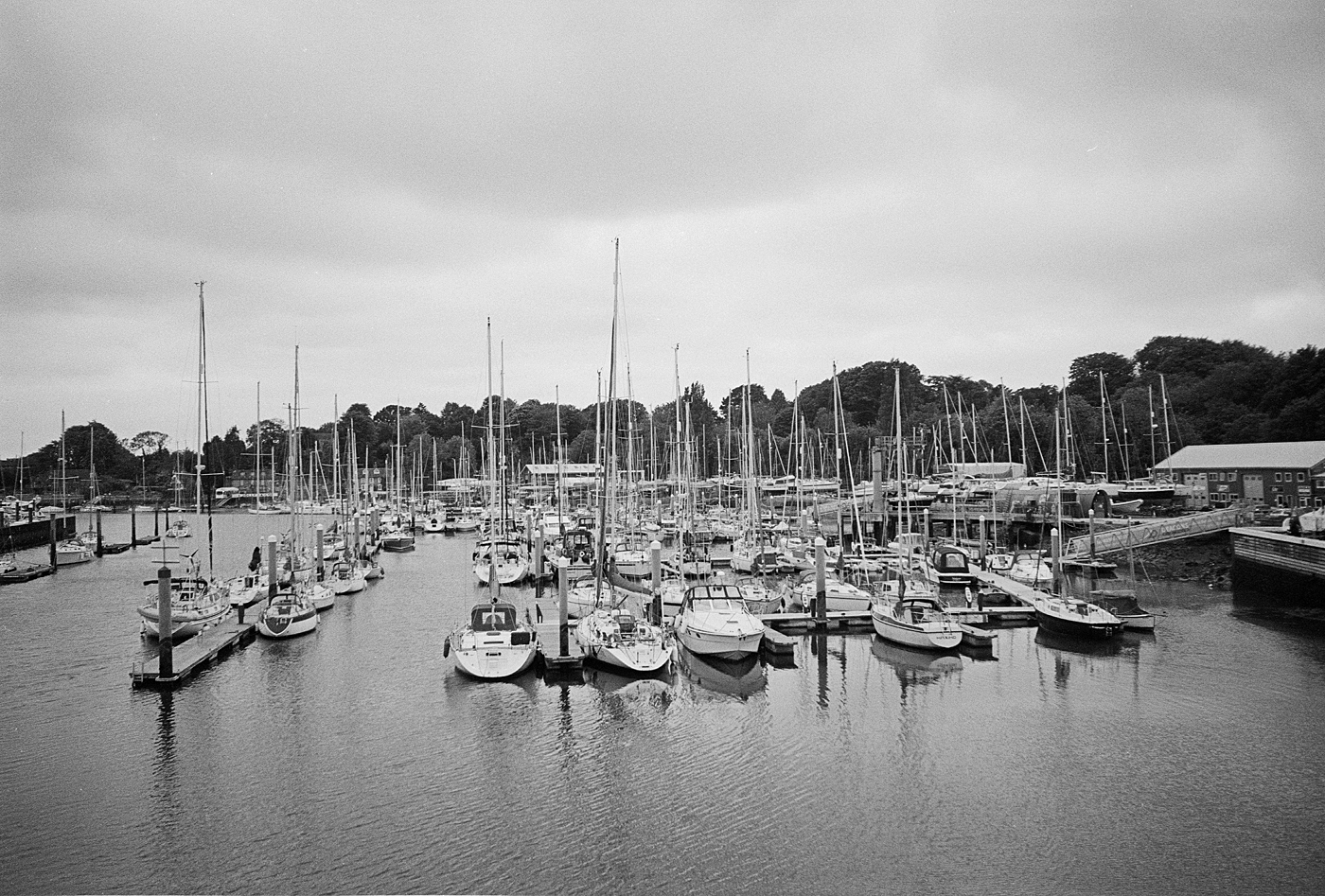 Full 35mm frame.jpg