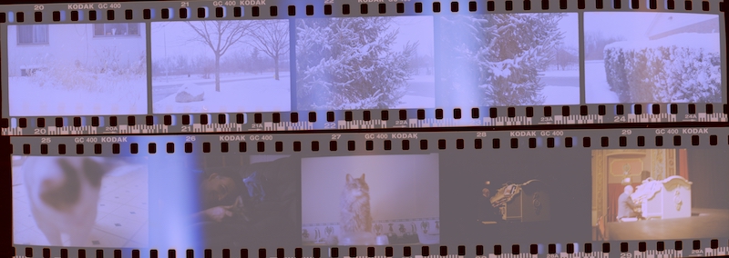 Full Negatives.jpg