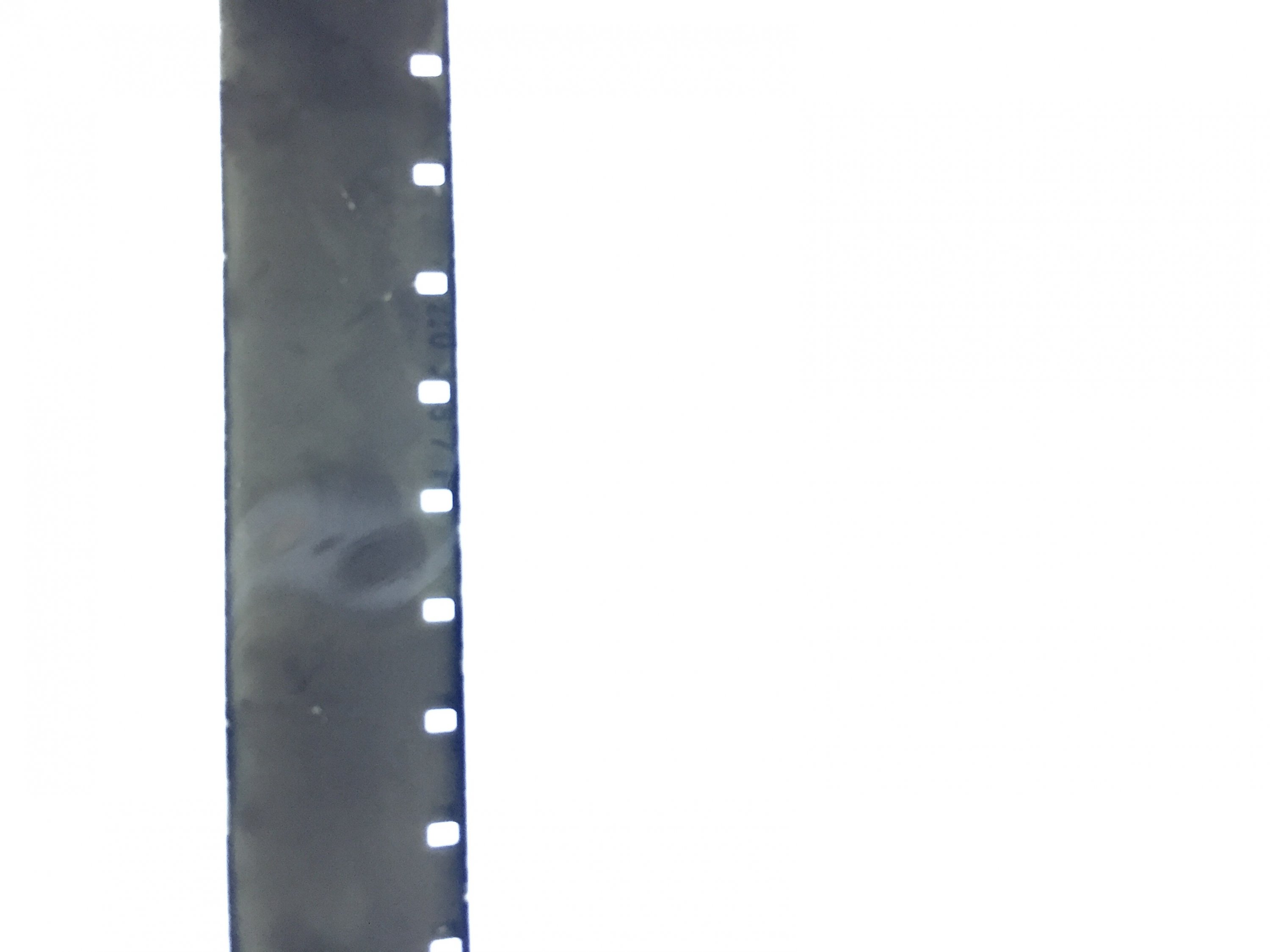 FullSizeRender 2.jpg