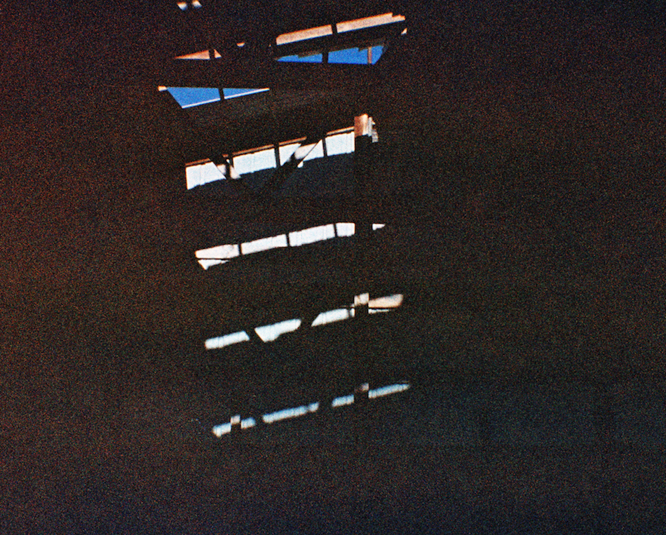 g005.jpg