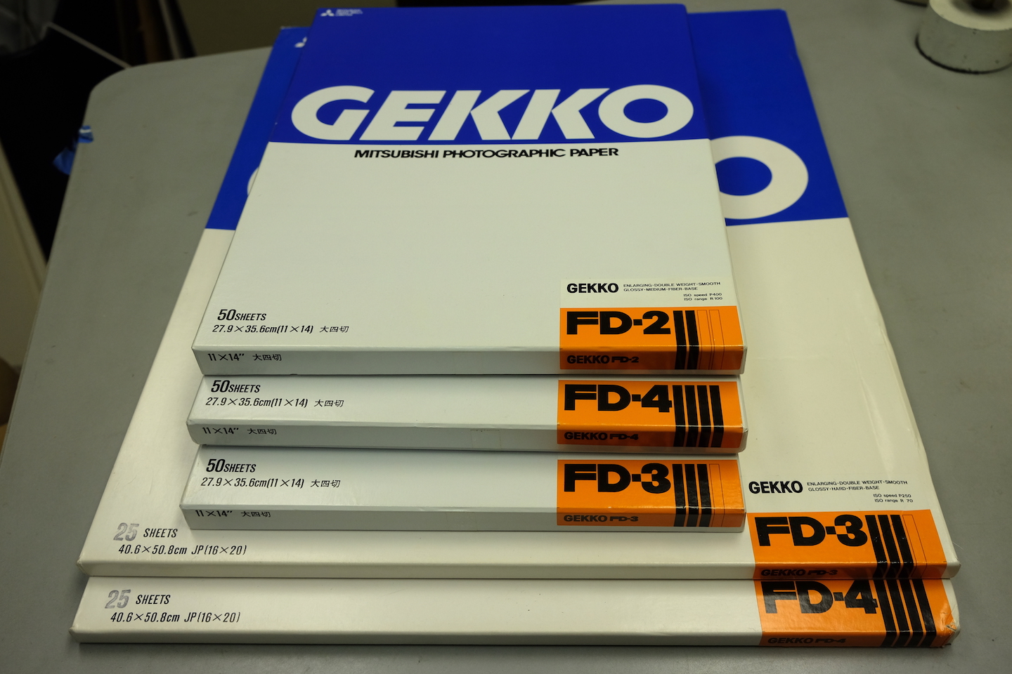 Gekko0967.JPG