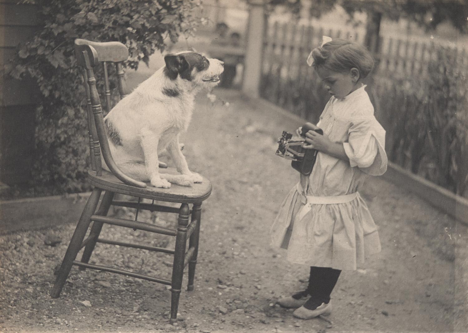girl dog.jpg