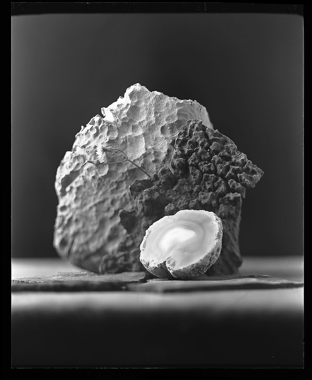 glass-plate132-i.jpg