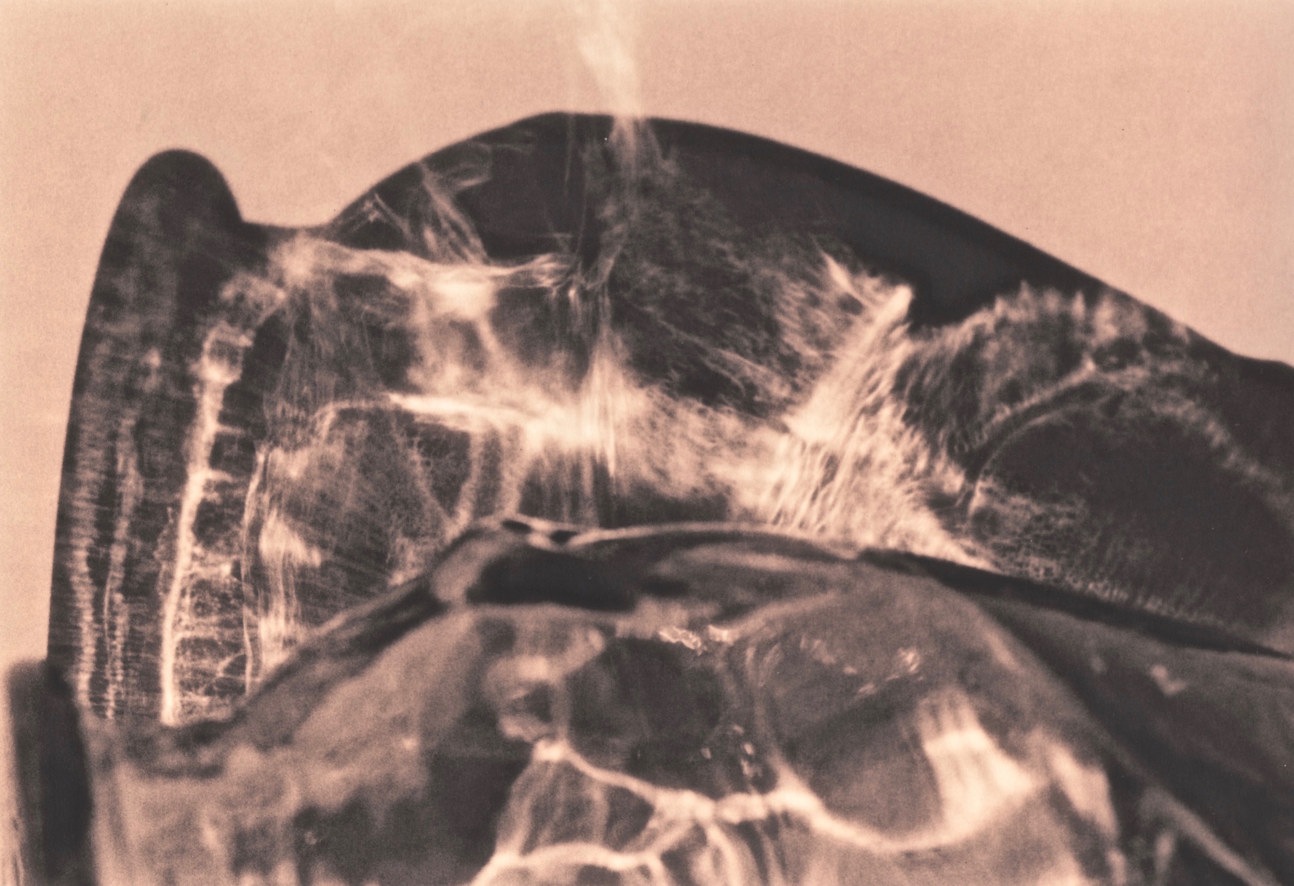 Glass shadows.jpg