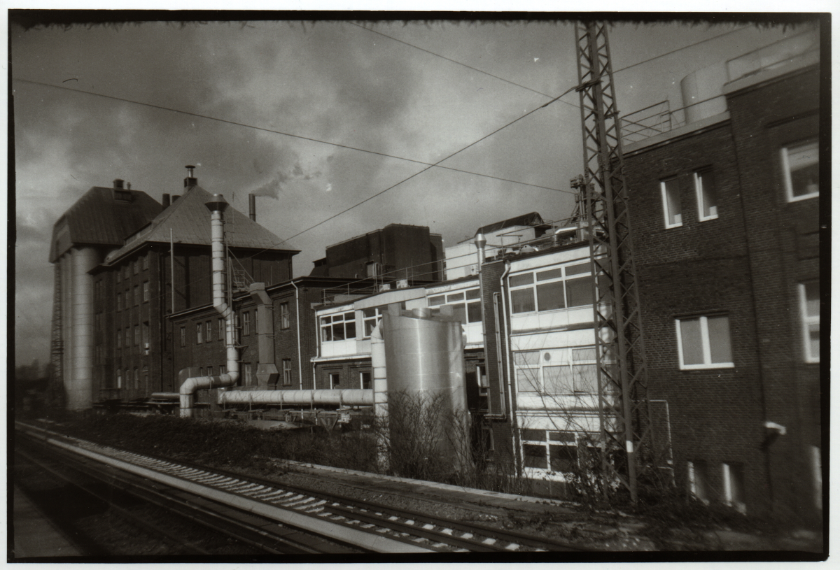 goldline003.png