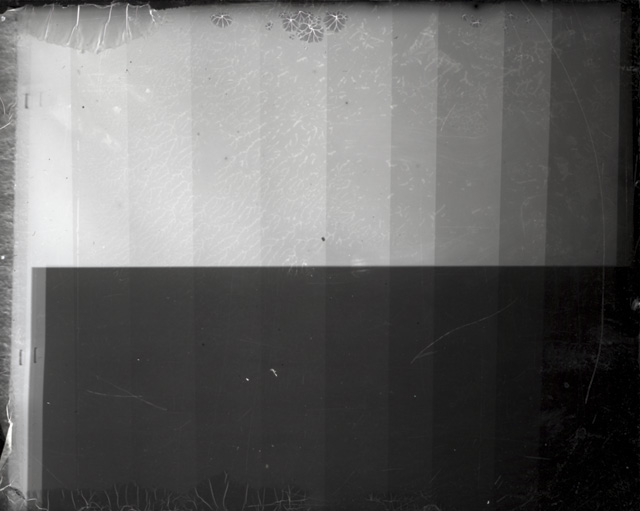 grayscale ex.jpg