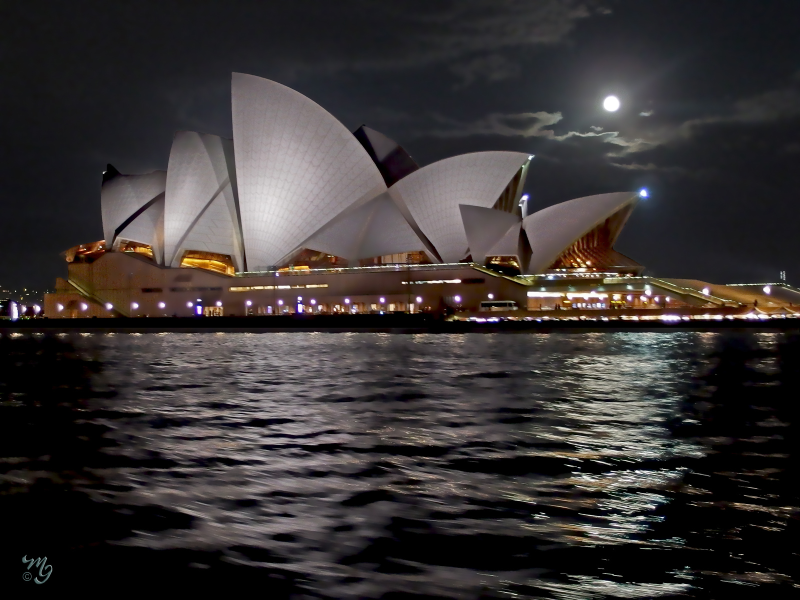 Harbour Lights 2.jpg