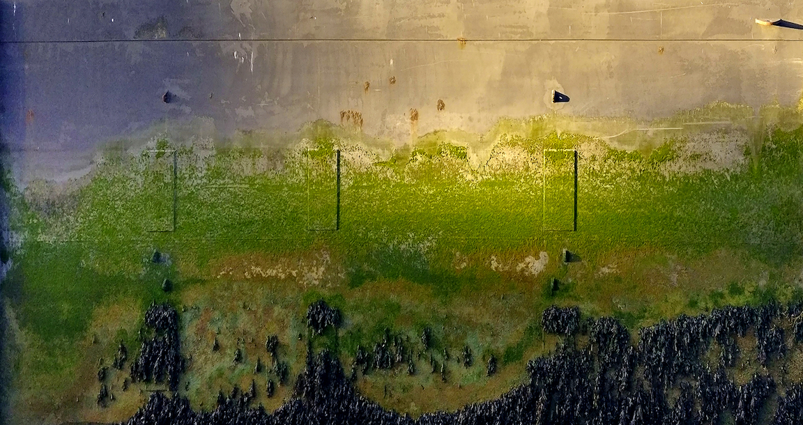 Harbour Wall_60%.jpg