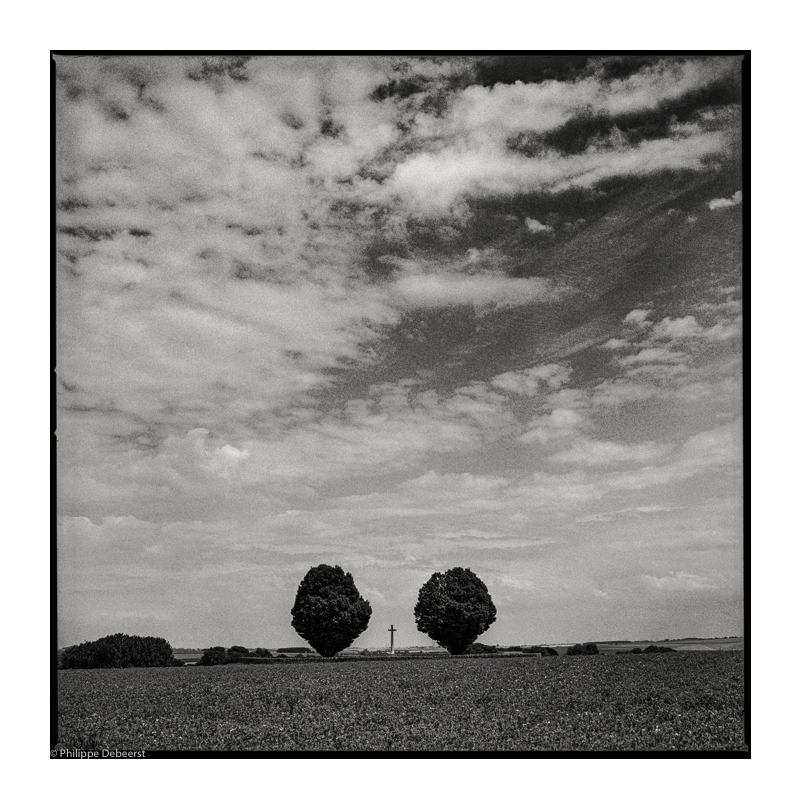 HAWTHORN RIDGE 2.JPG