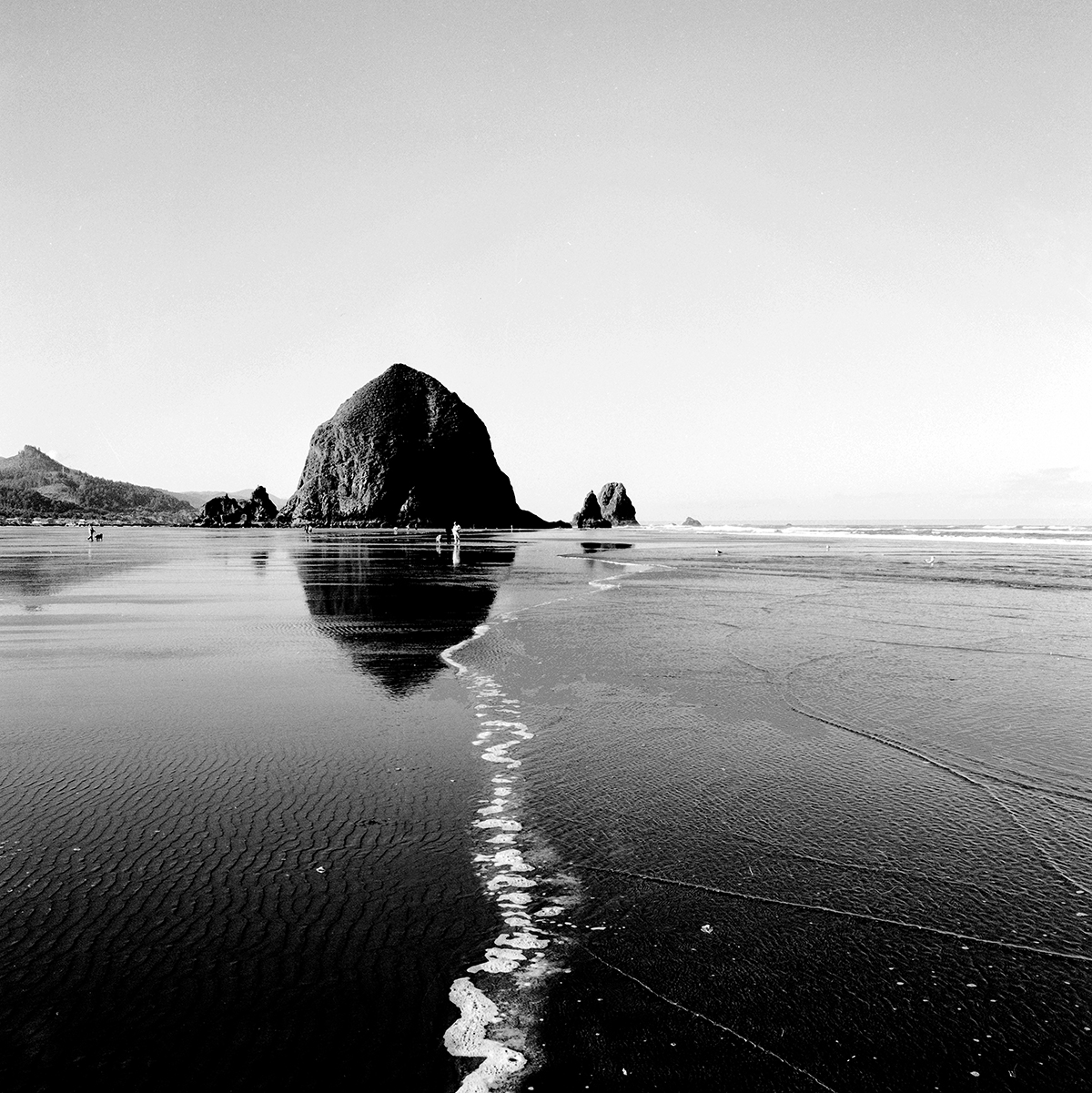 haystack-rock-foam-line.jpg