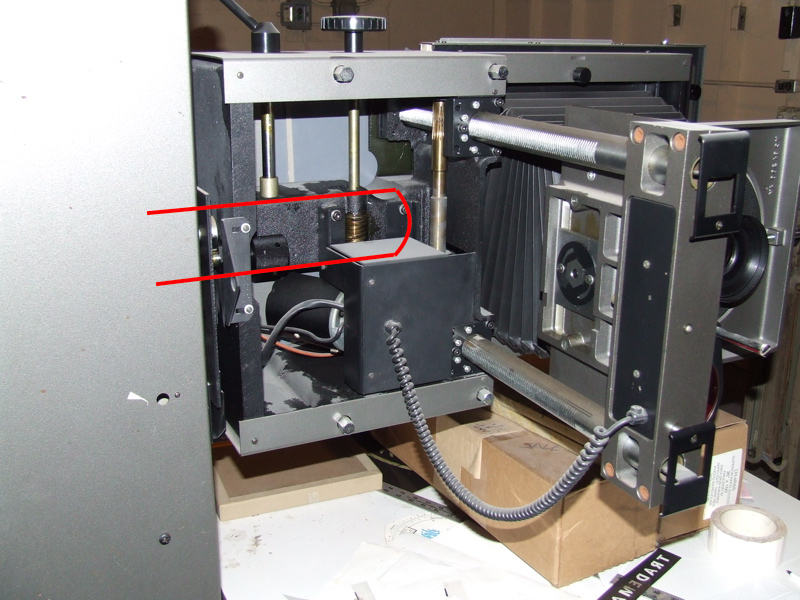 head underside anotated.jpg