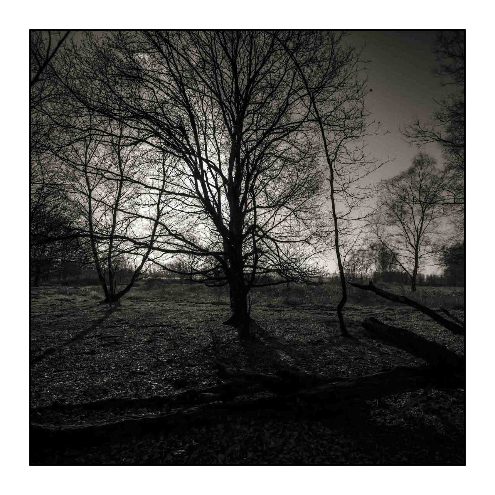 HEIDEBOS FEB'14.JPG