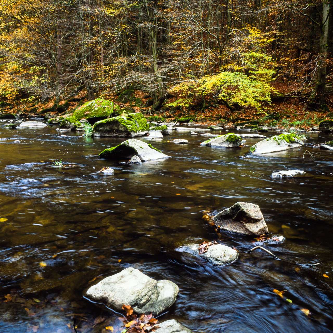 Herbstbach-004.jpg