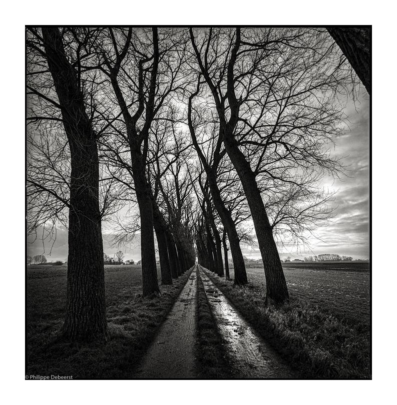 HET RUISEN DER WIND 01.JPG