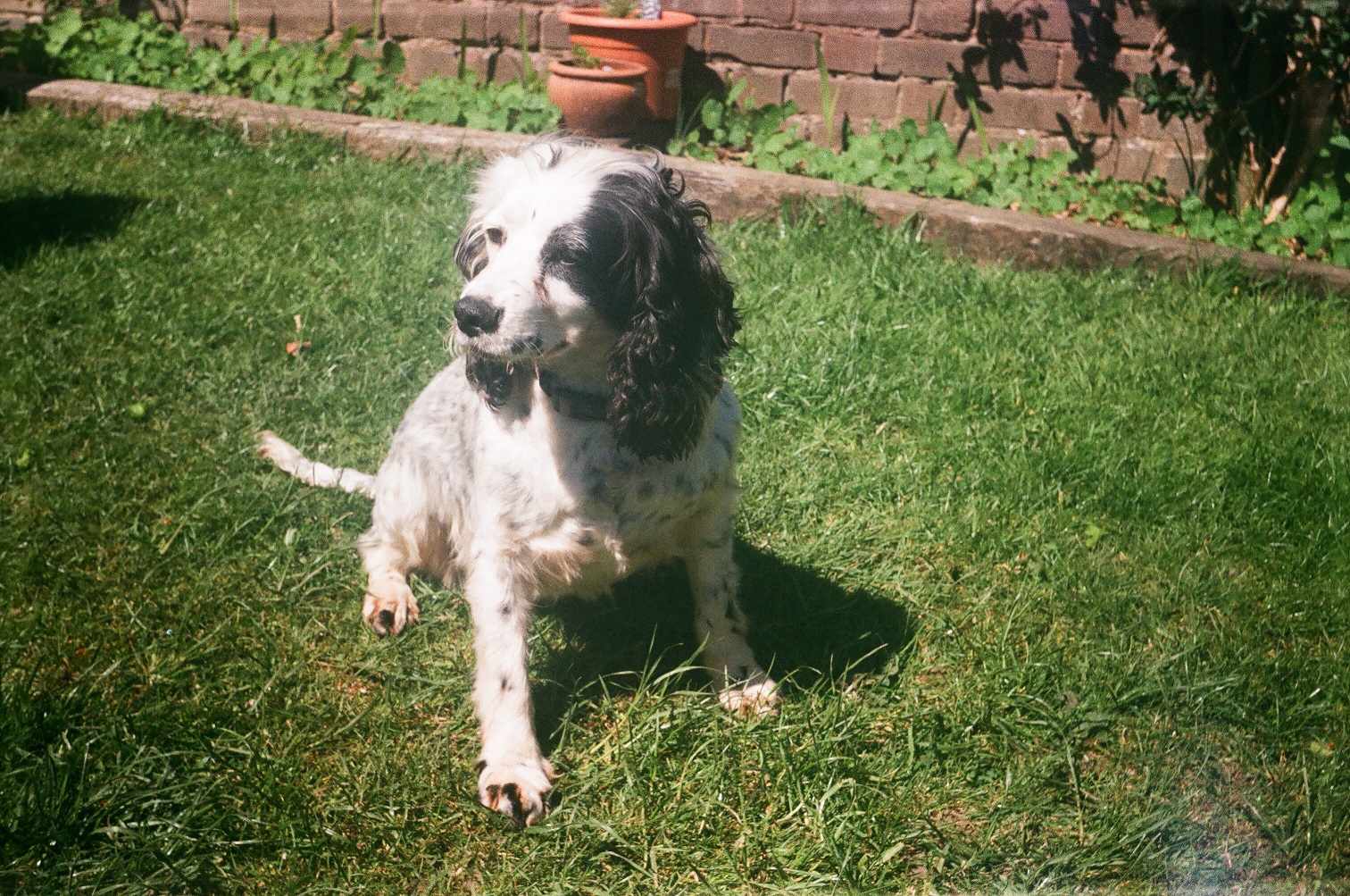 hettie.jpg