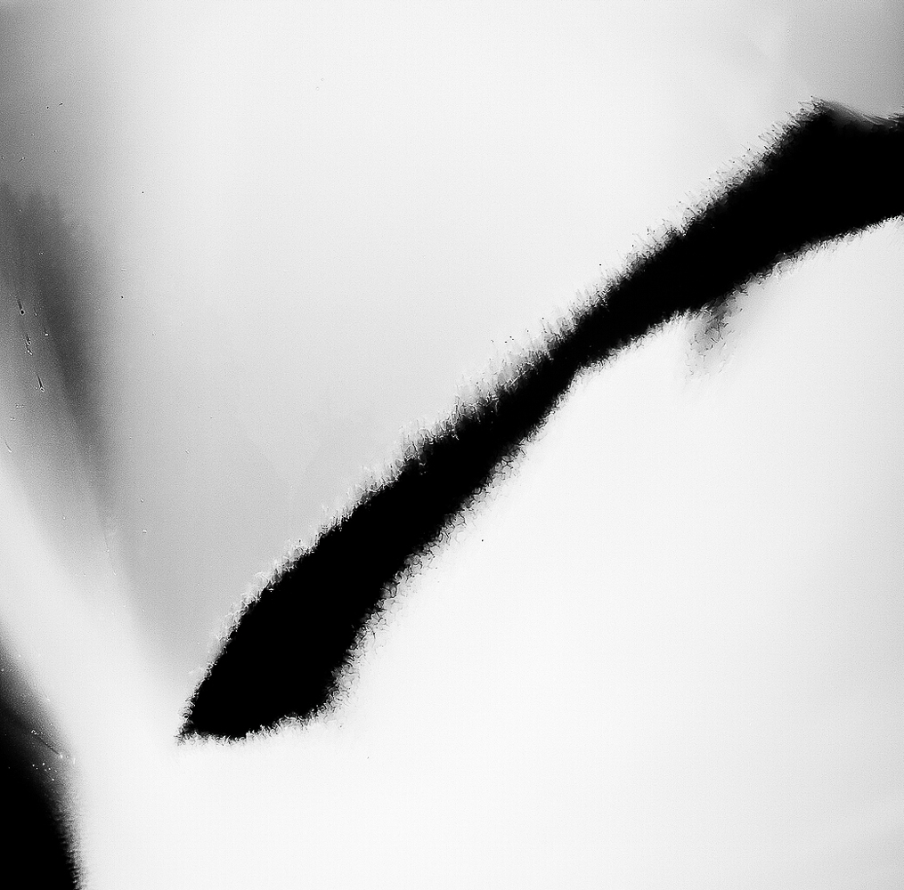 Holga Abstract.jpg