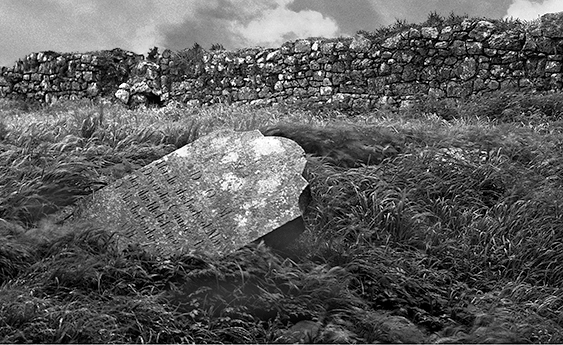 Hore Abbey, Tigg 2.jpg