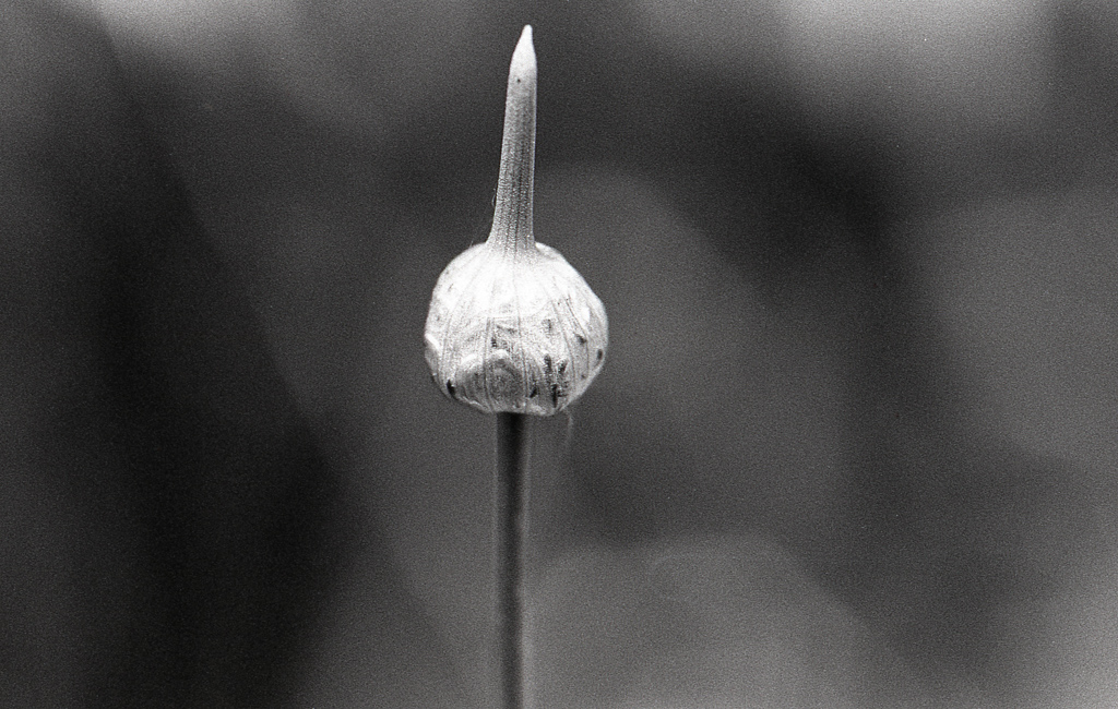 HP5-008.jpg