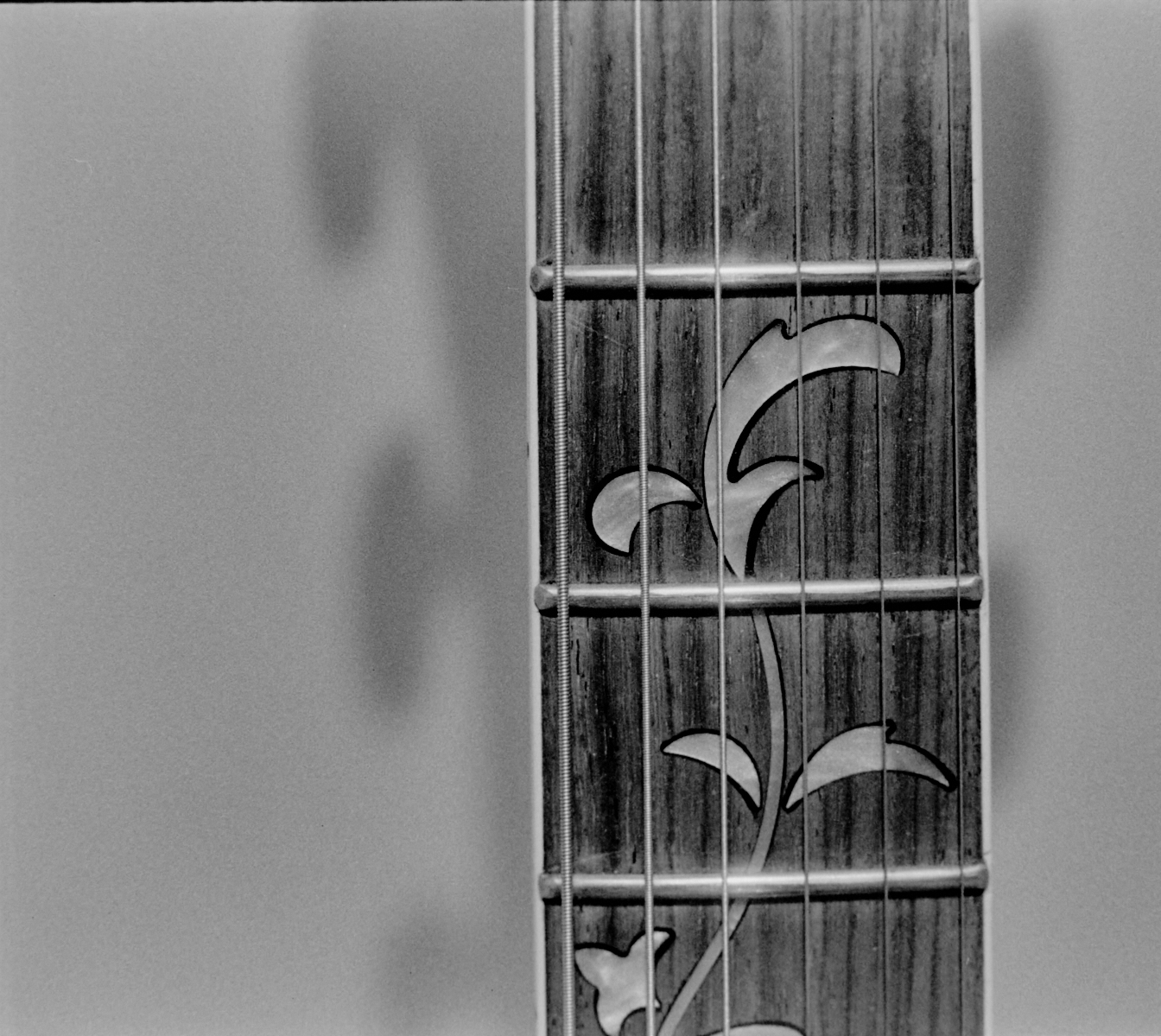 Ibanez small_1.jpg