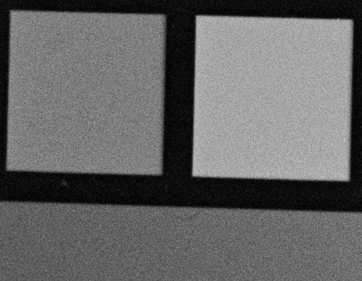 id11-crop.jpg