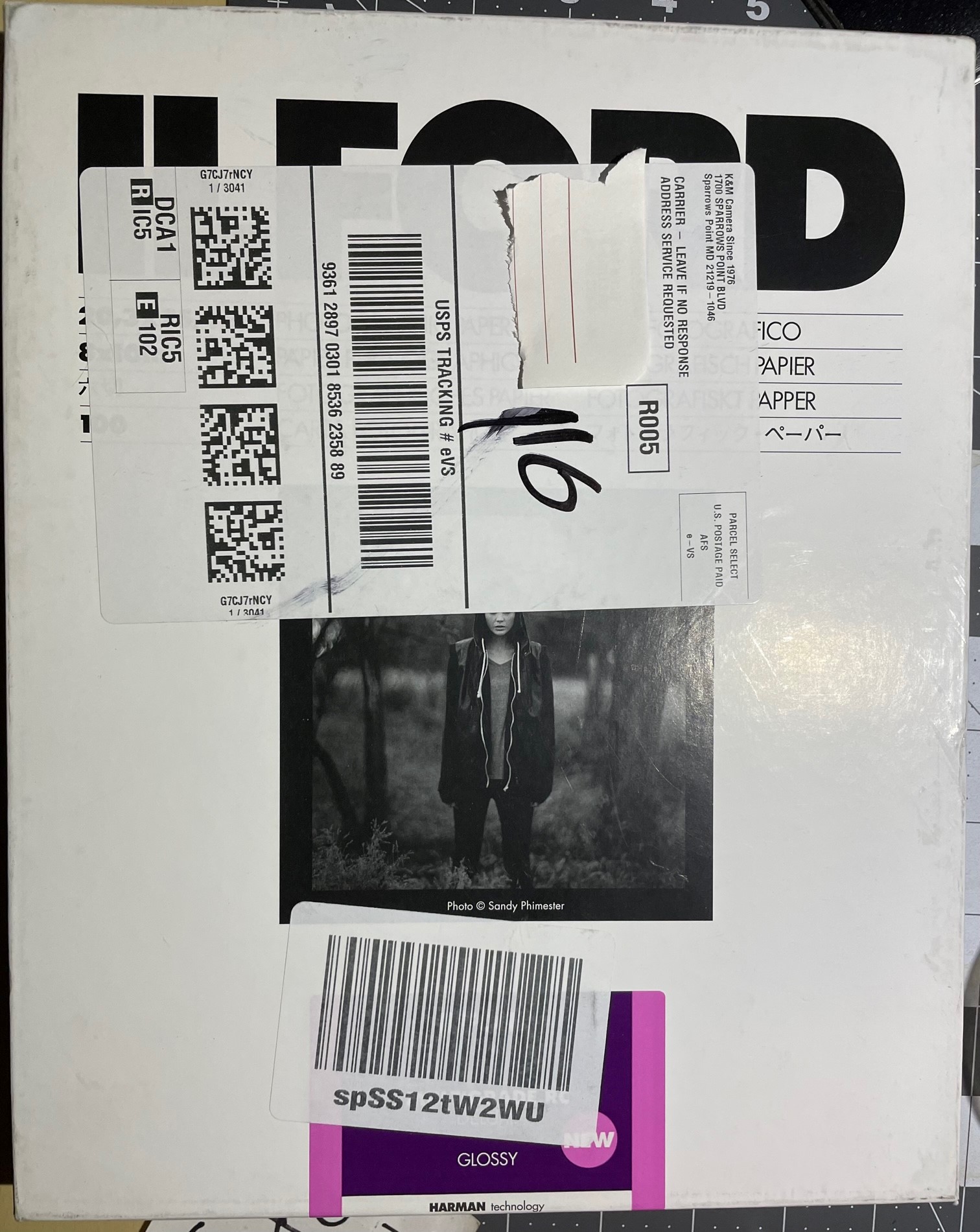 Ilford 1.jpg