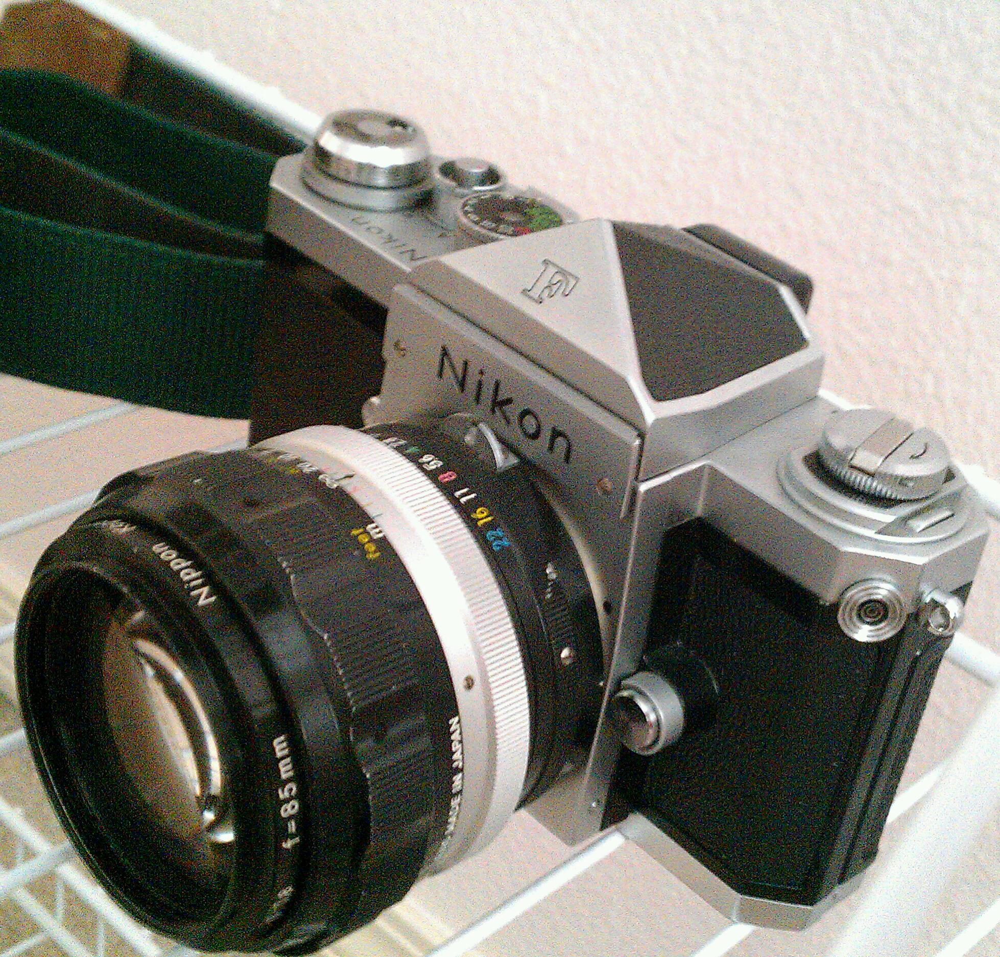 IMAG4501-1.jpg