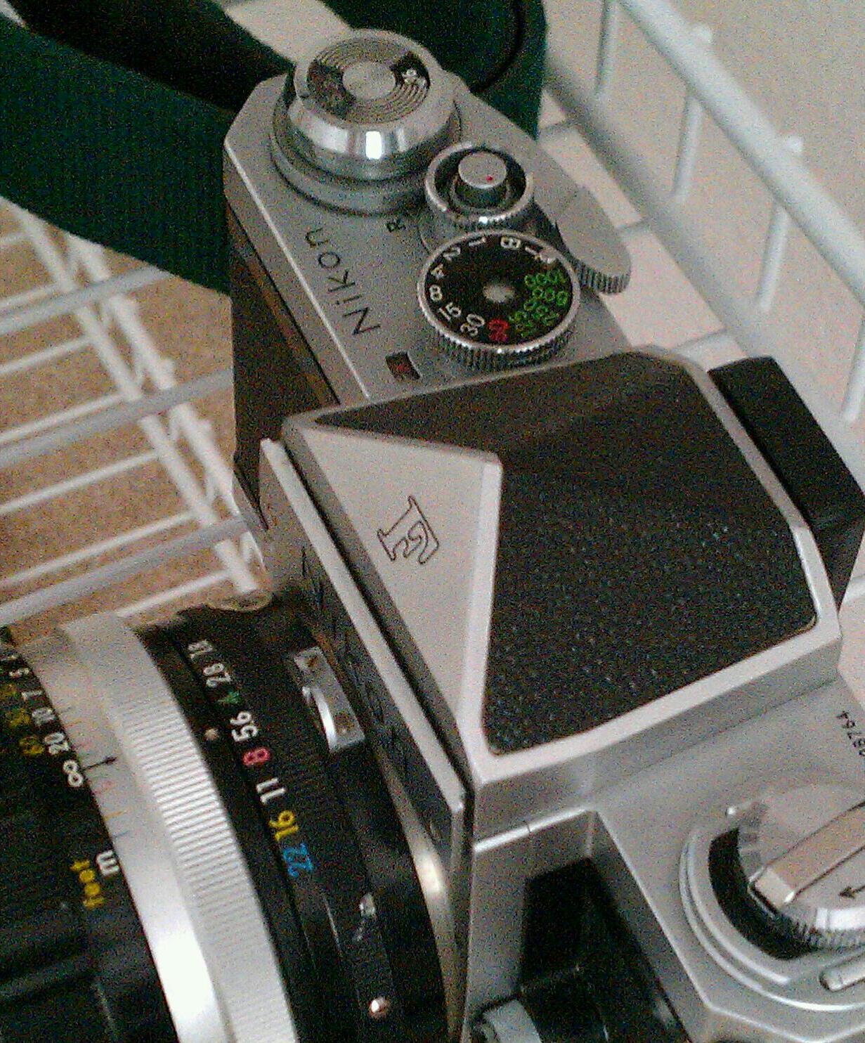 IMAG4504-1-1.jpg