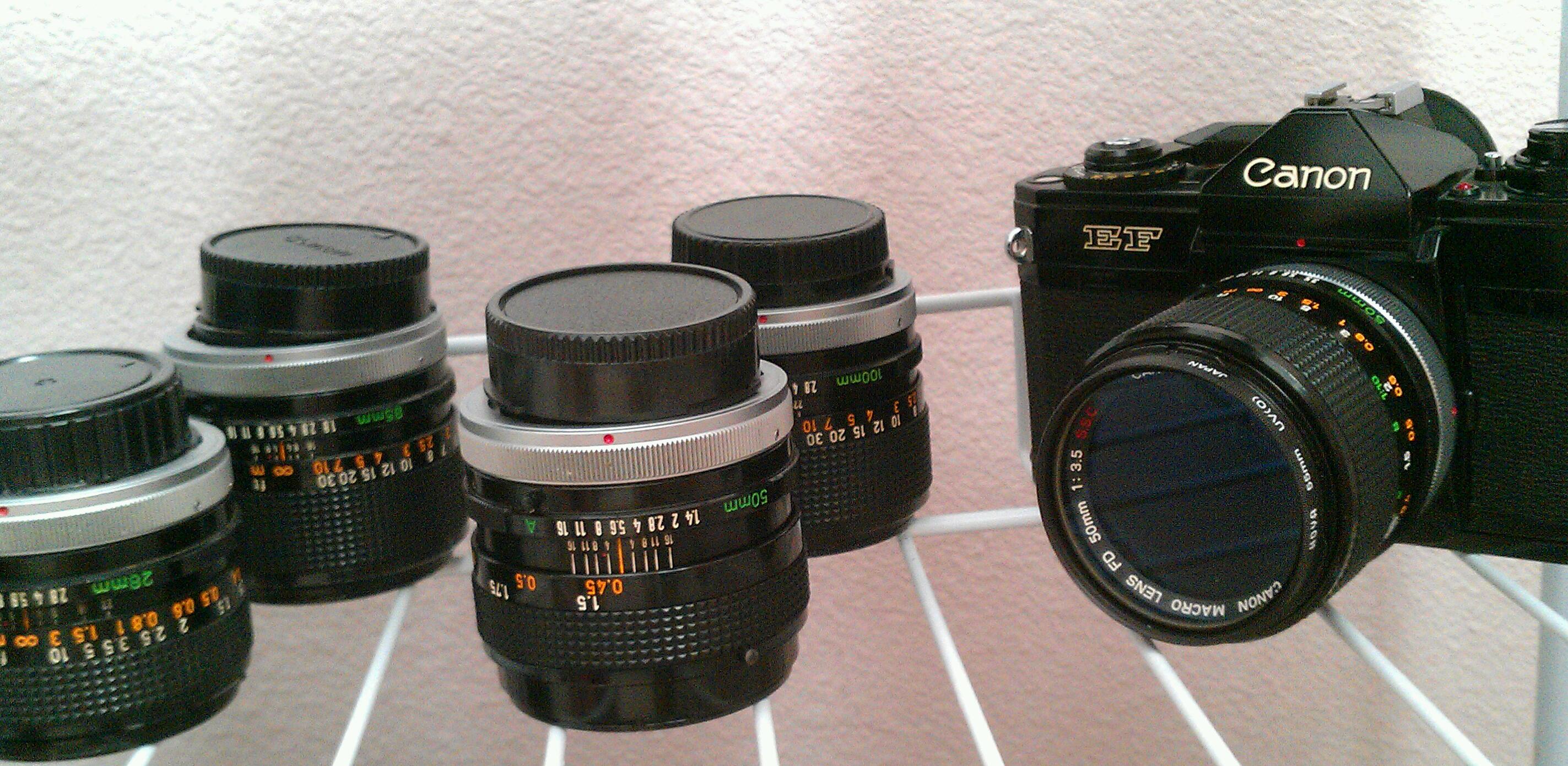 IMAG6290-1.jpg