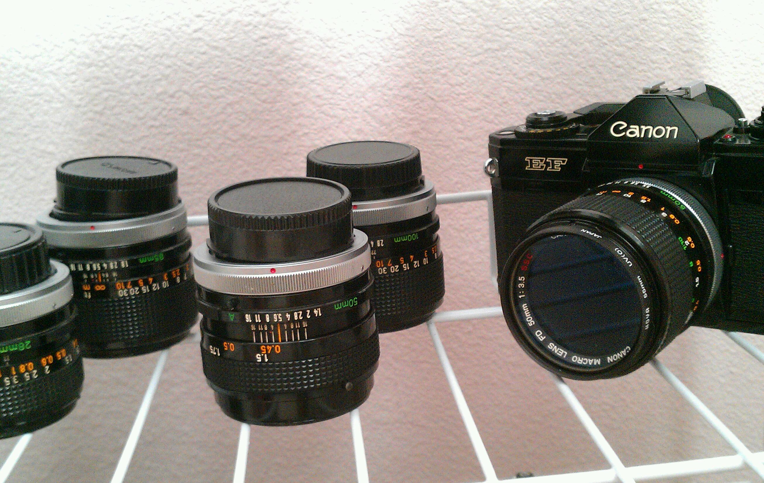 IMAG6290-1.jpg