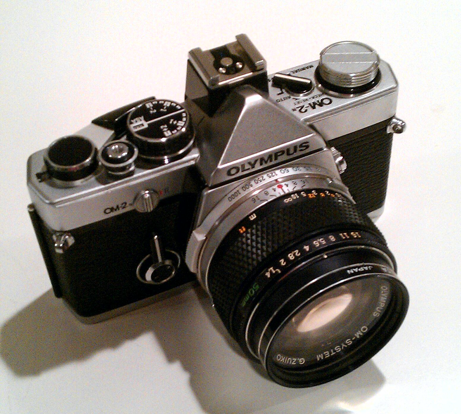 IMAG6673-1-1.jpg