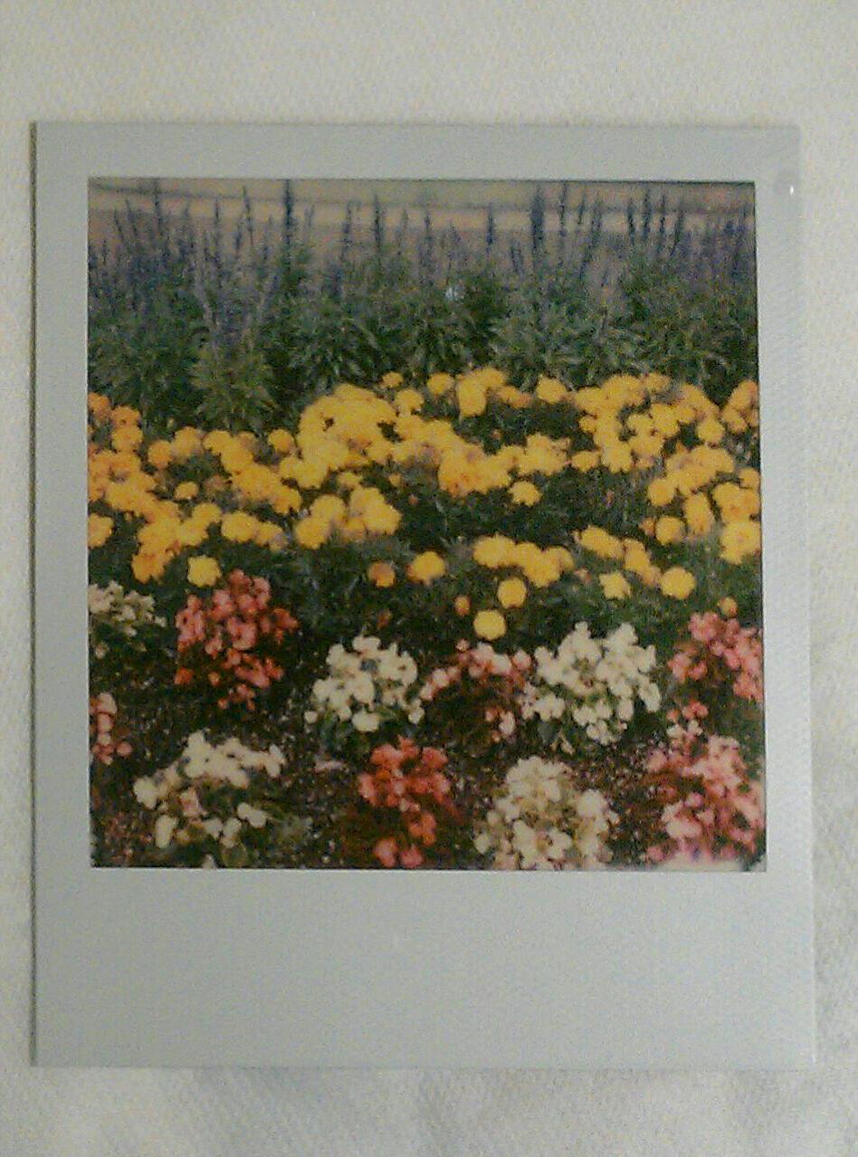 IMAG7026-1-1.jpg