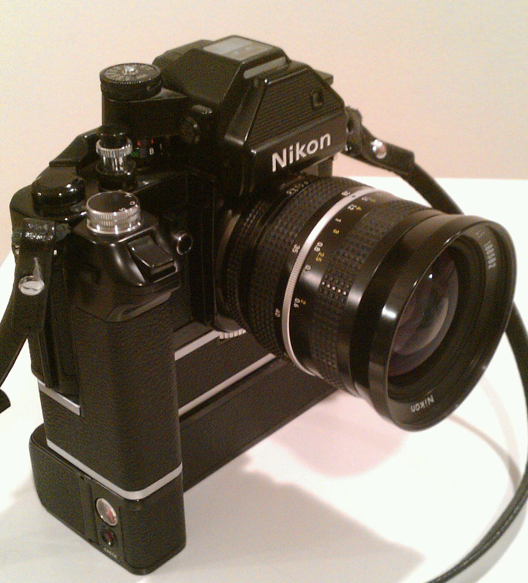 IMAG7029-1.jpg
