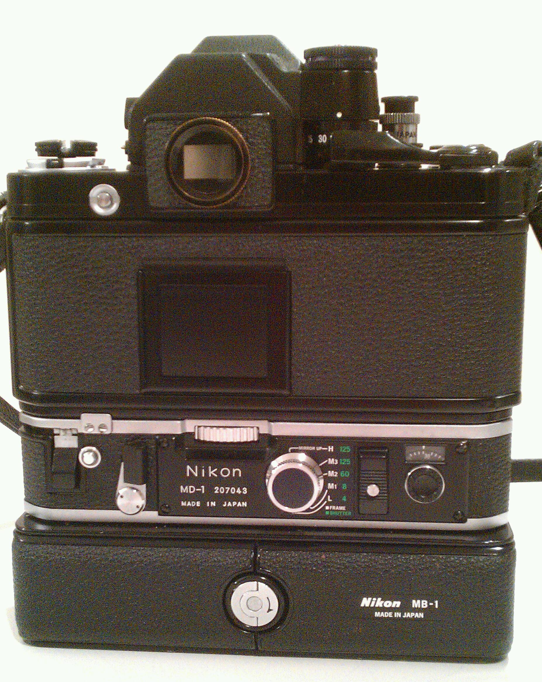 IMAG7031-1.jpg