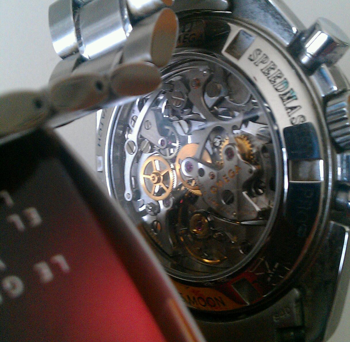 IMAG7221-1.jpg
