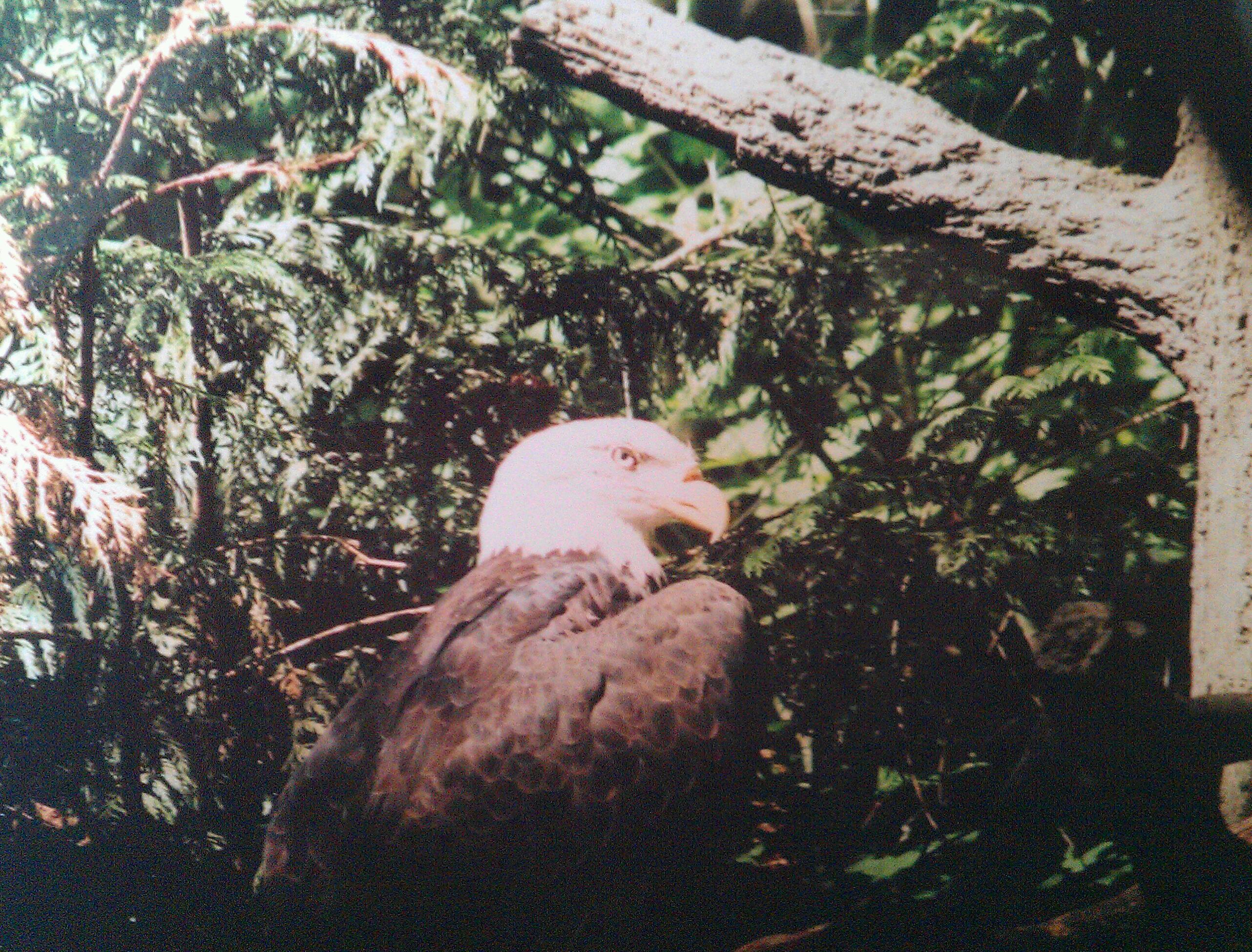 IMAG7246-1.jpg