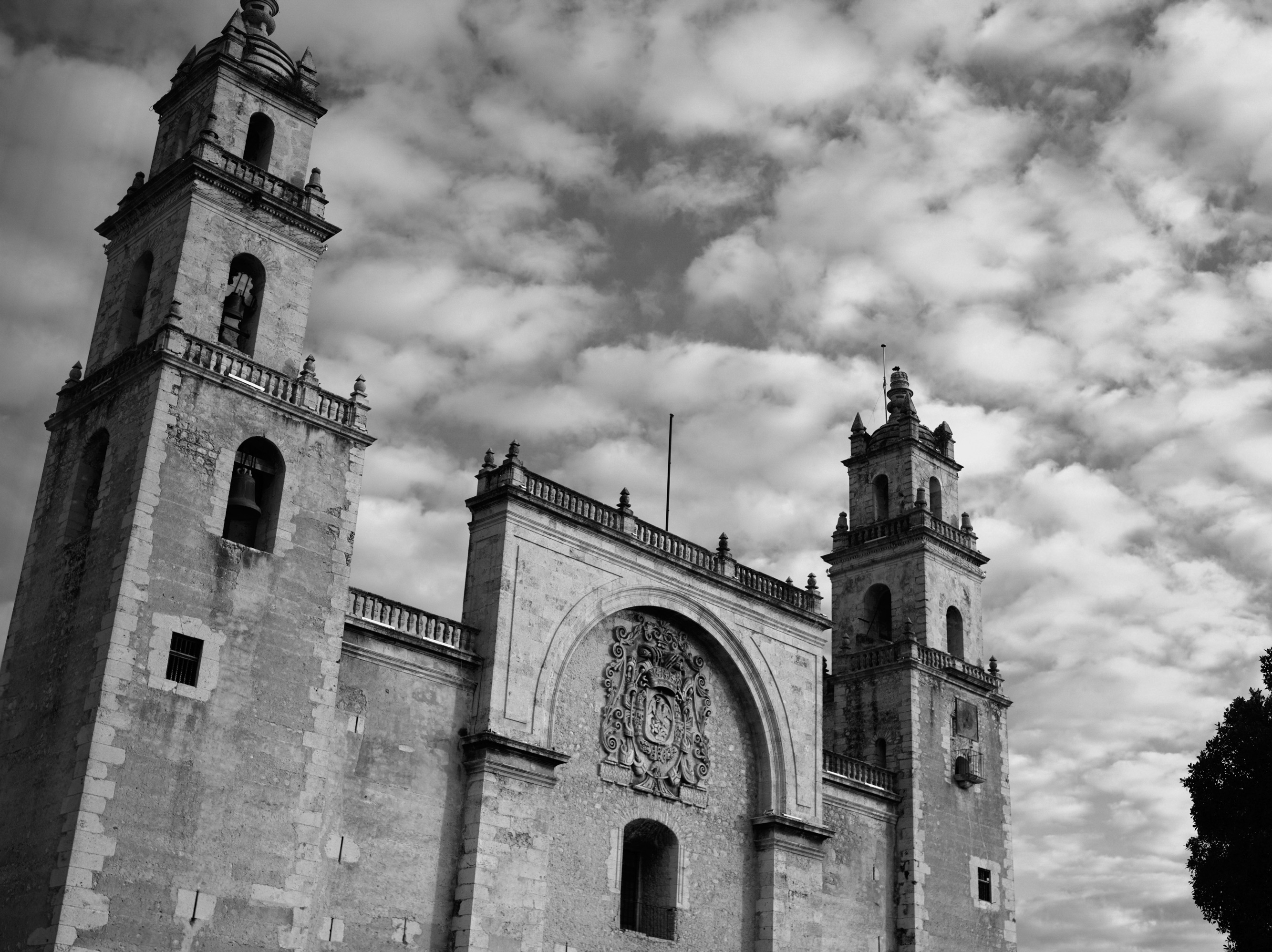 Image-0100_.jpg