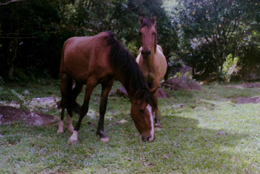 Image 1.png