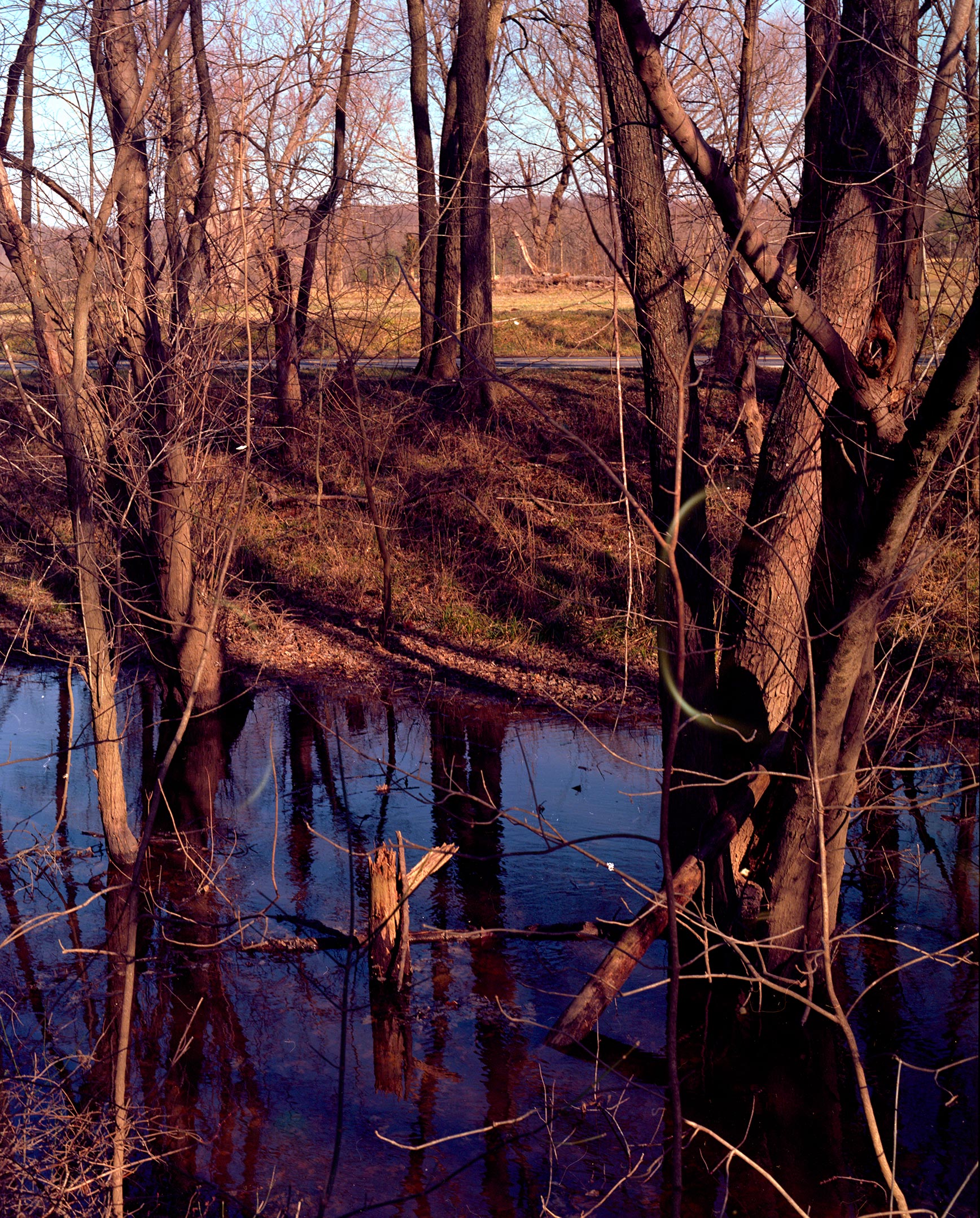 Image 2.jpg