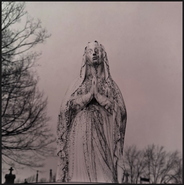 Image 2025-01-20 at 3.43 PM.jpg