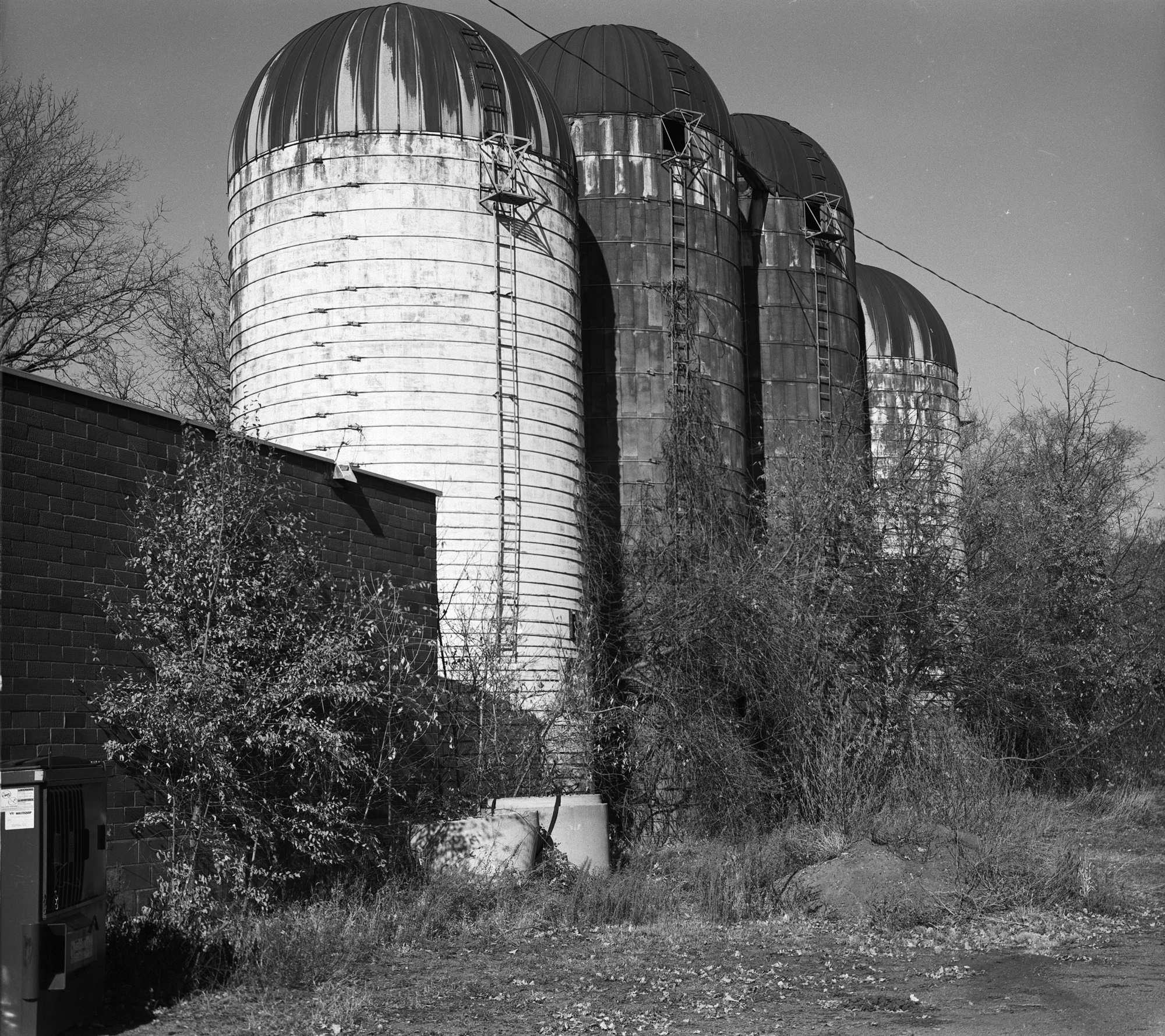 Image (3) (4).jpg