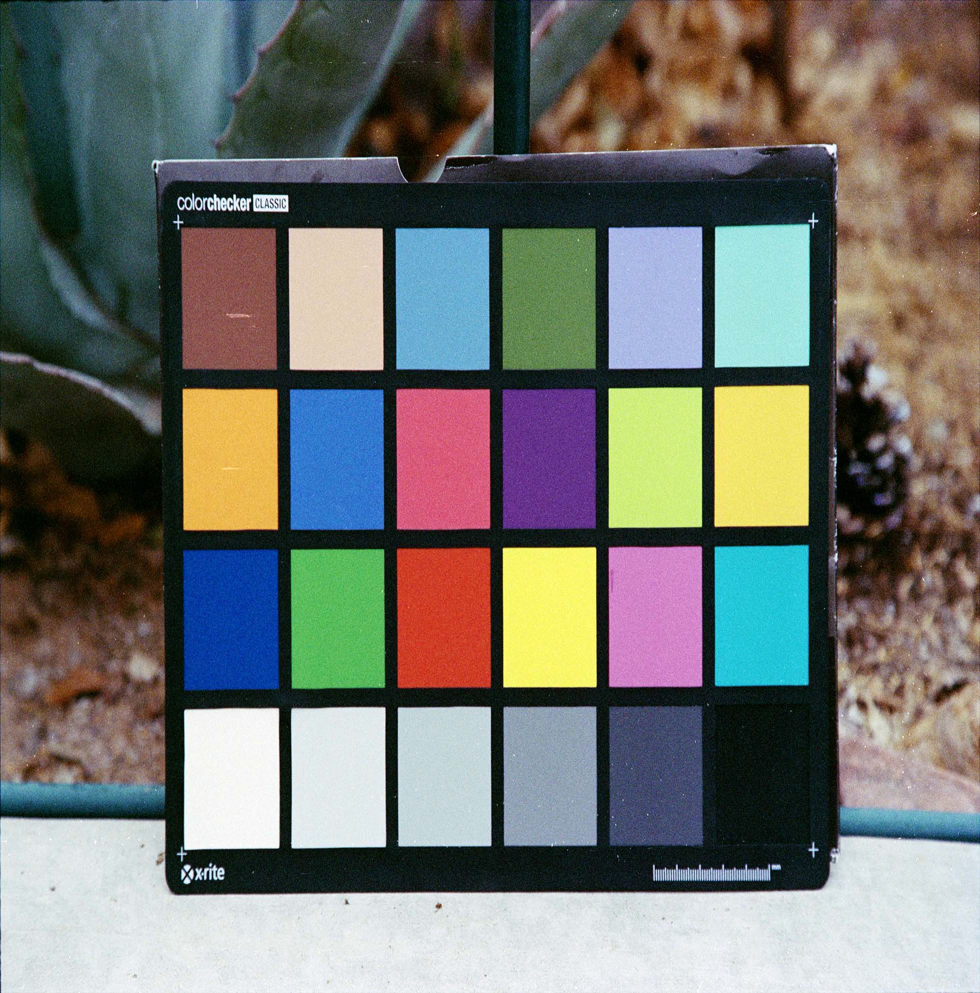 Image copy.jpg