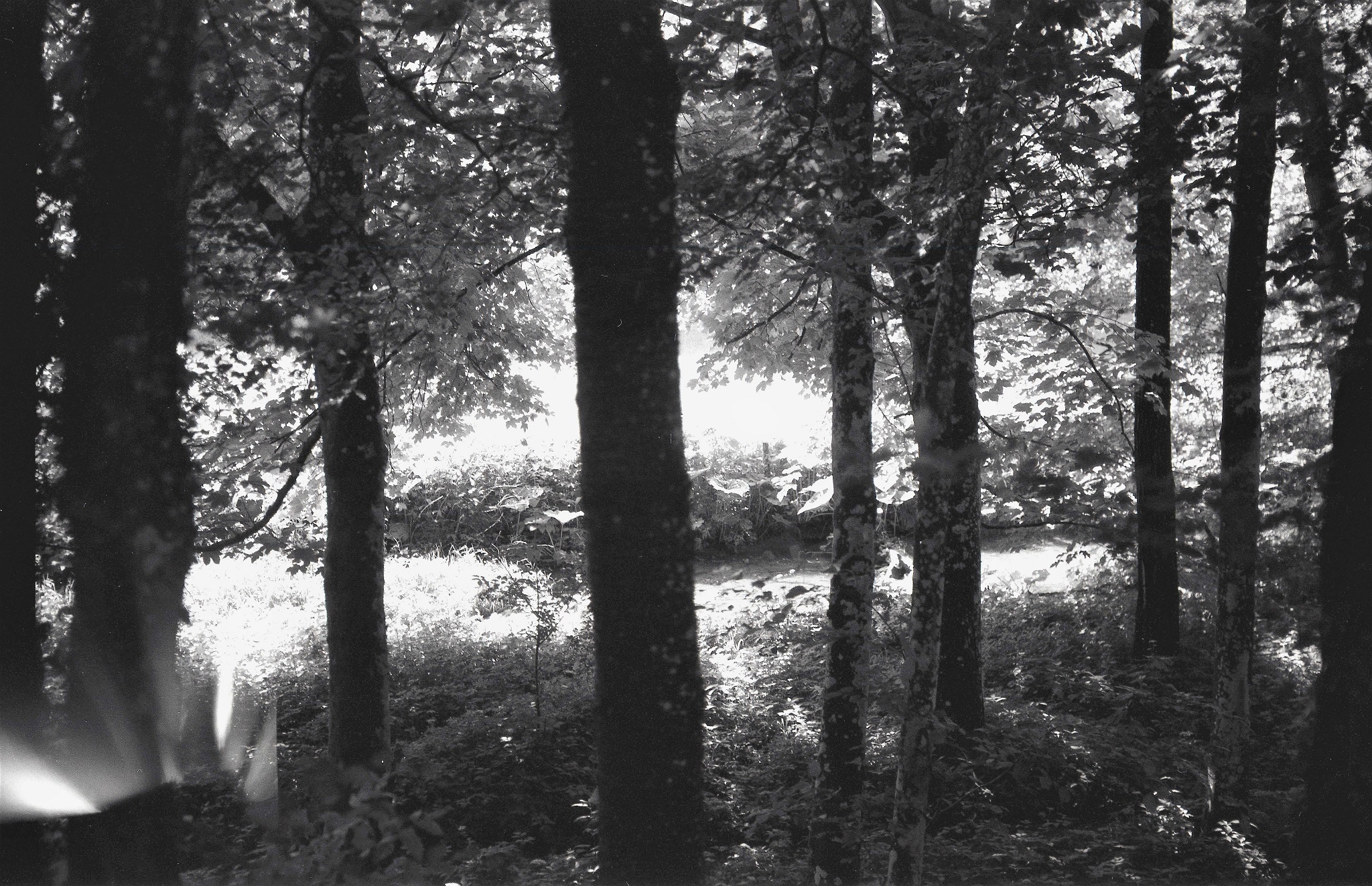image004klein - Kopie.jpg