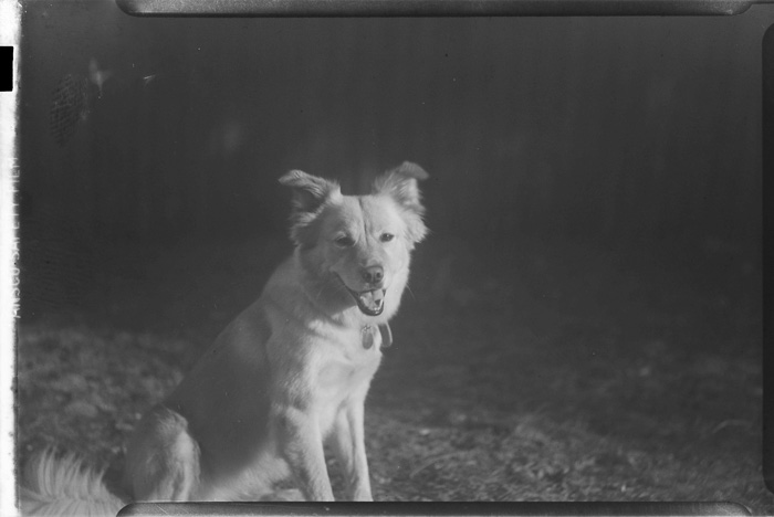 img001.jpg