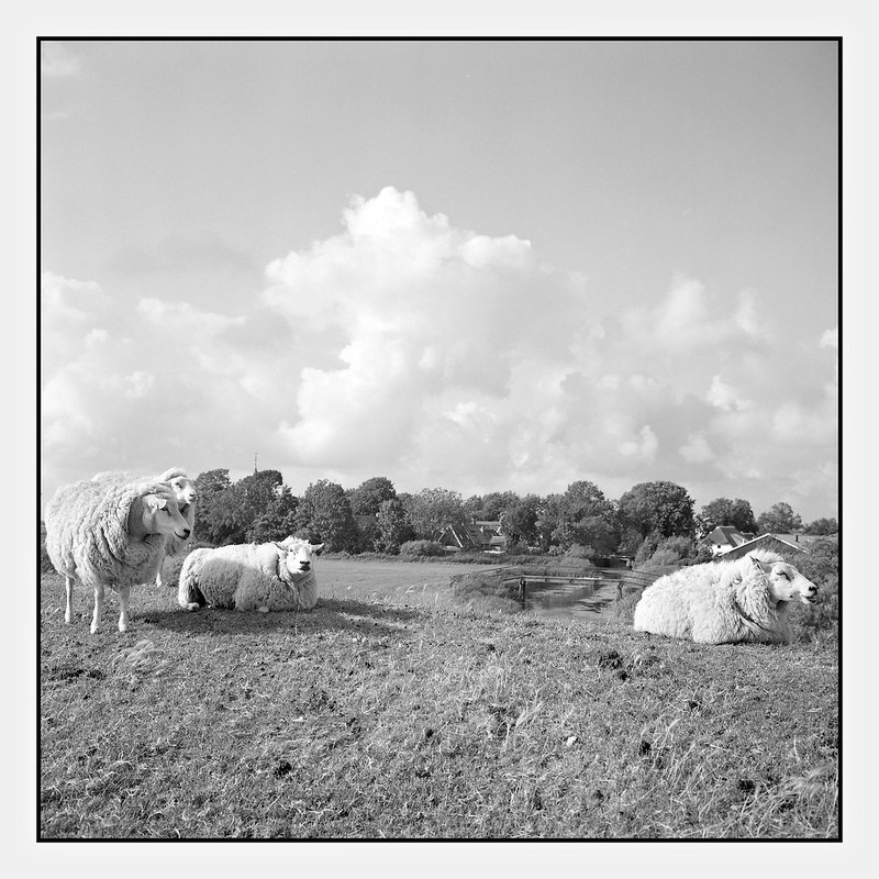 img001.jpg