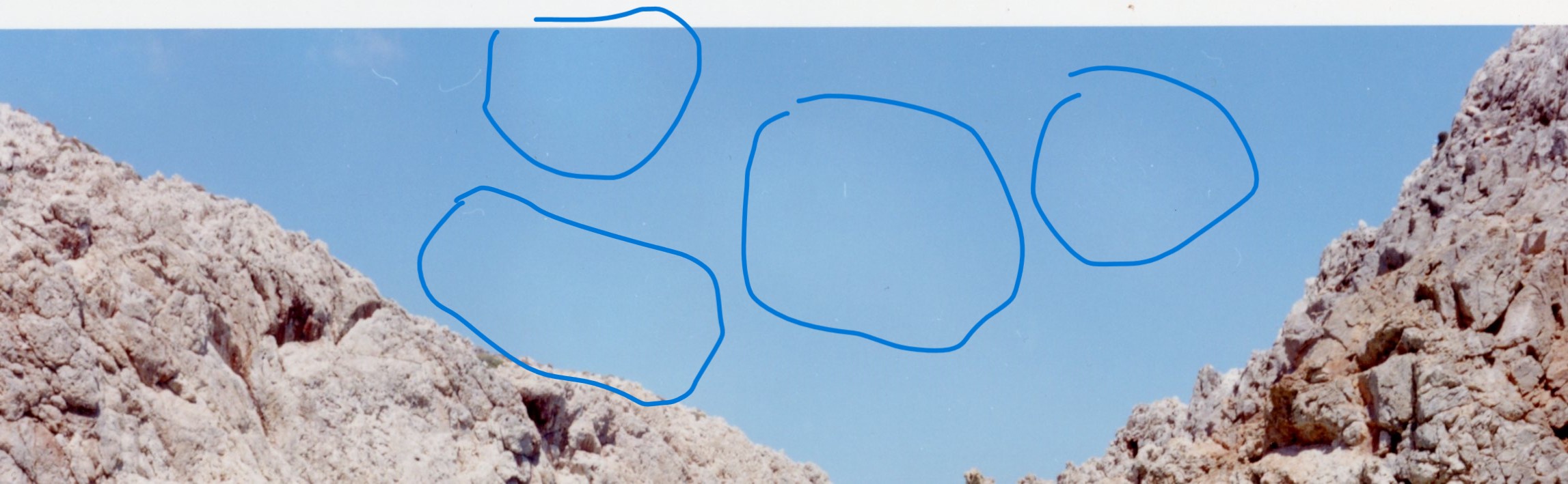 img002_circled.jpg