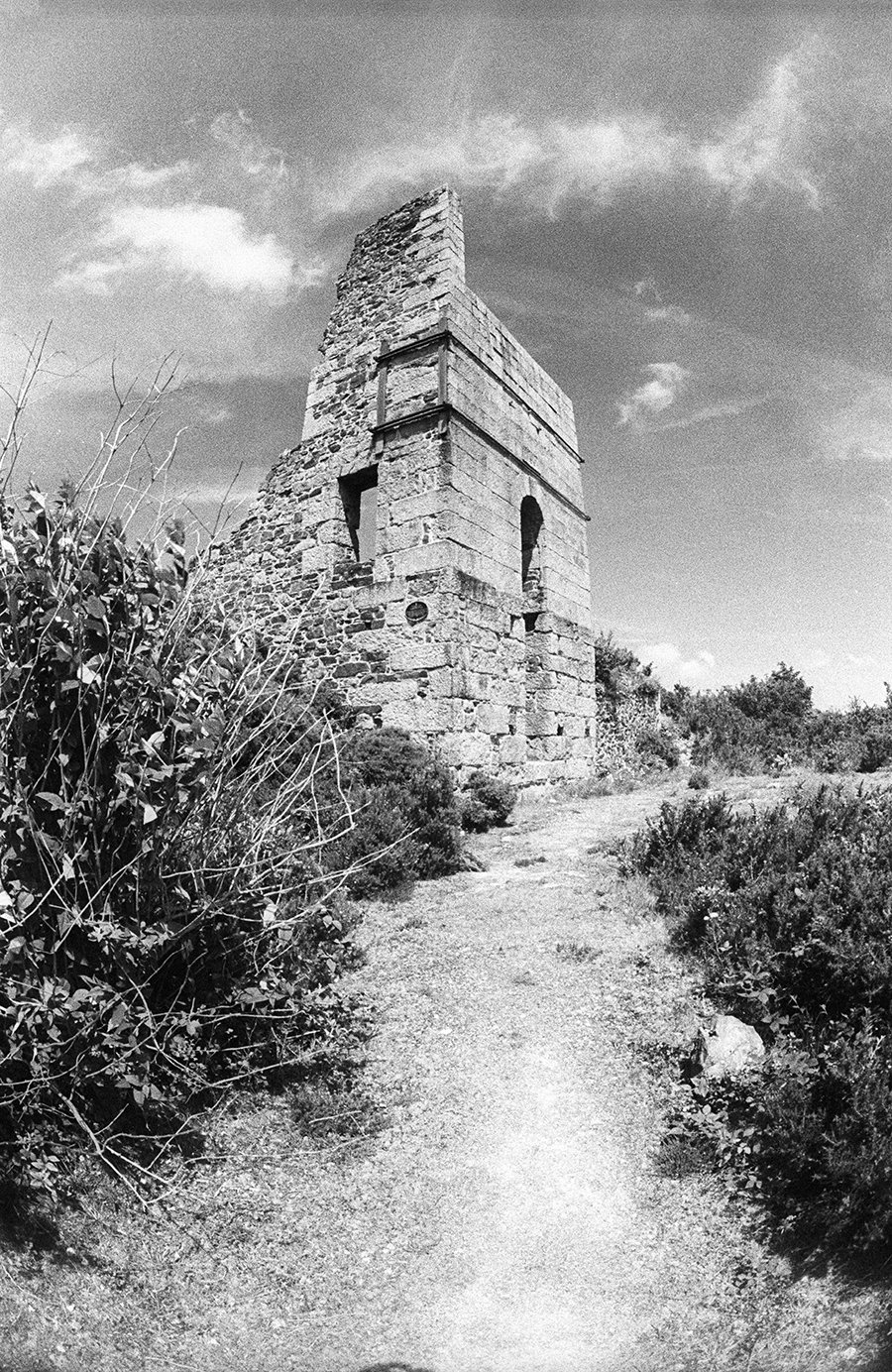 IMG005.jpg