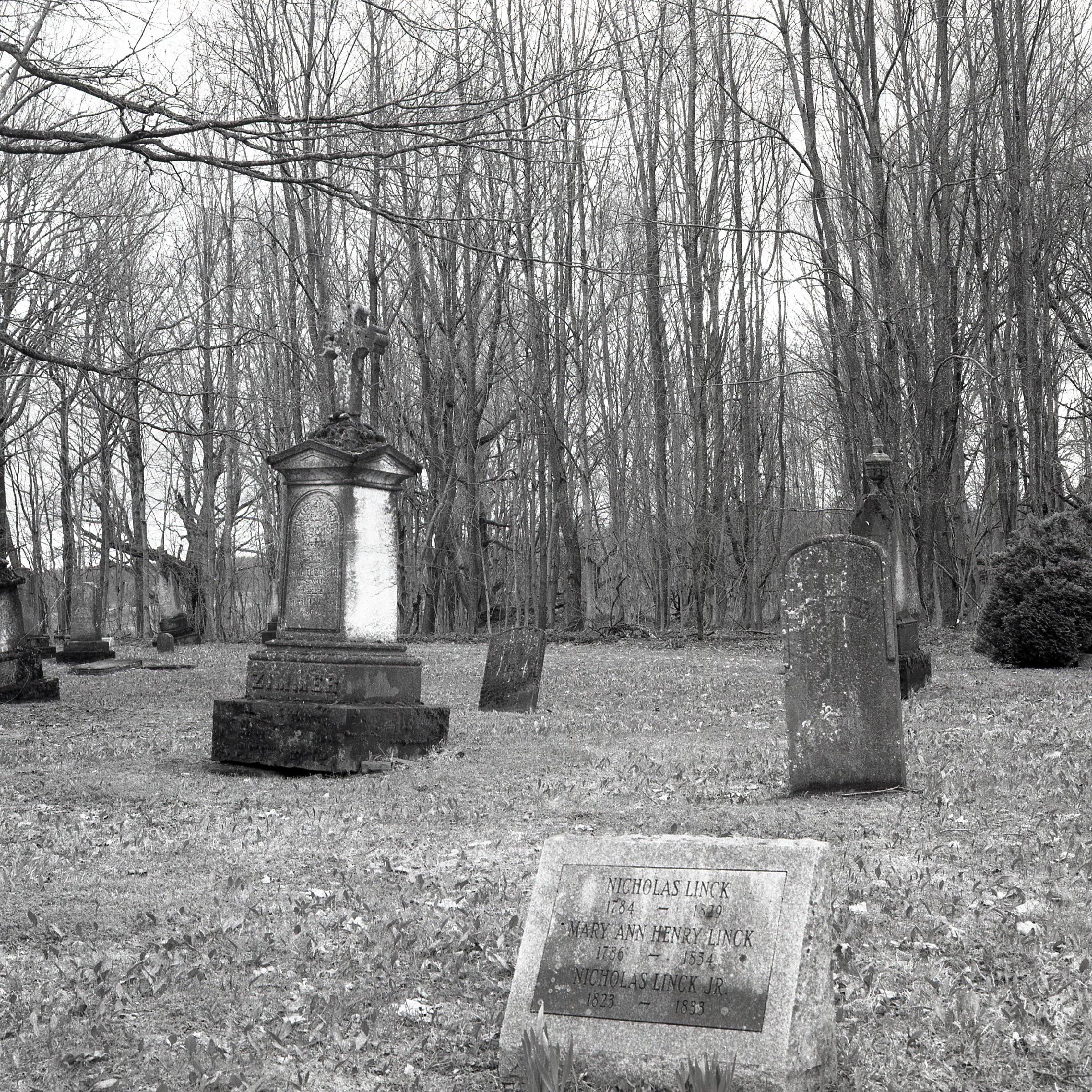 img009.jpg